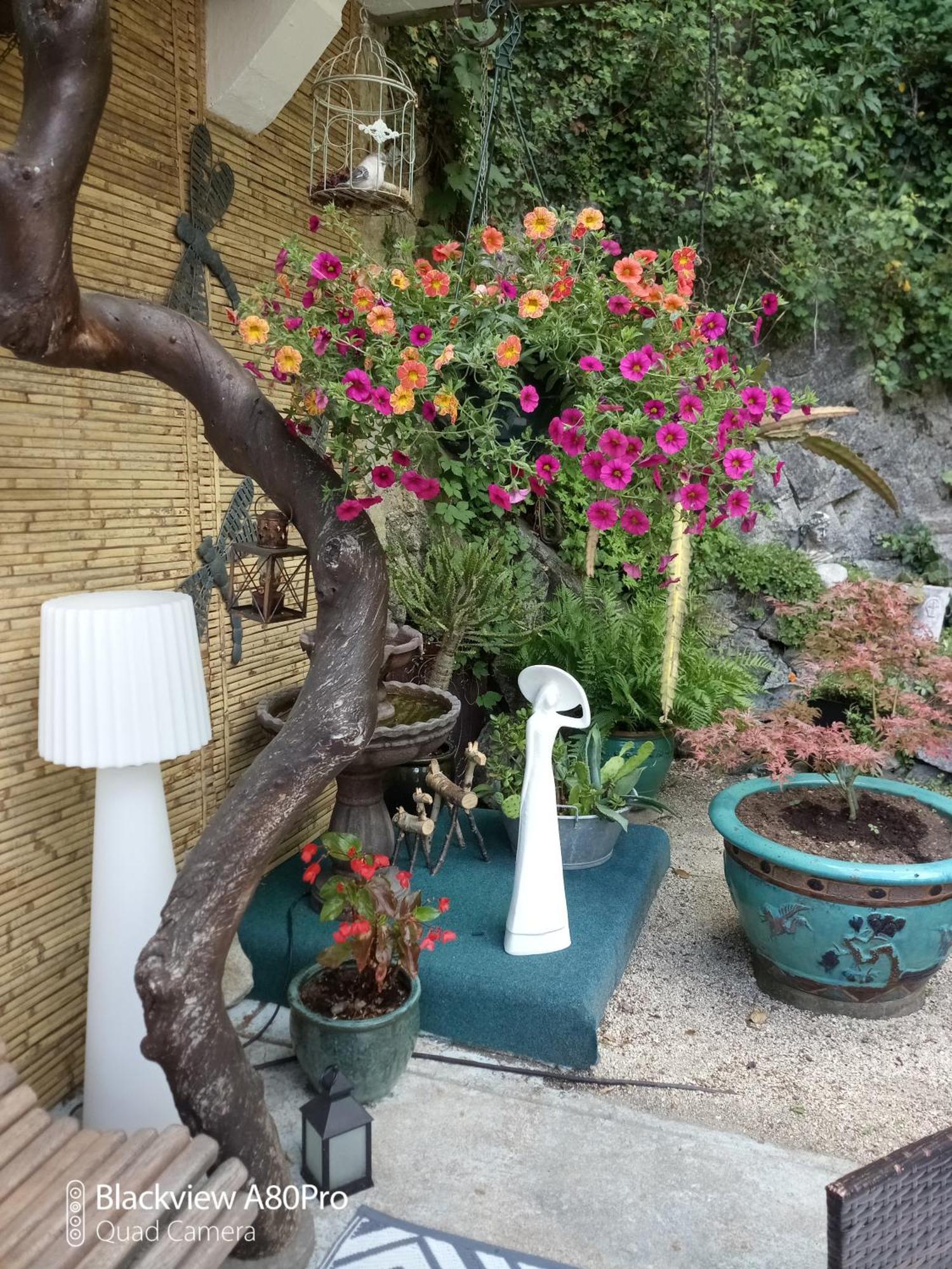 Studio Malou, Cuisine, Salle D'Eau, Terrasse Amenagee Olliergues 외부 사진